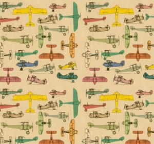 The Notheast Kingdom bg 1