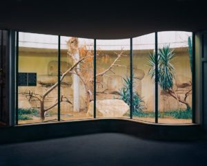 emptyzoorooms5 900x720 1