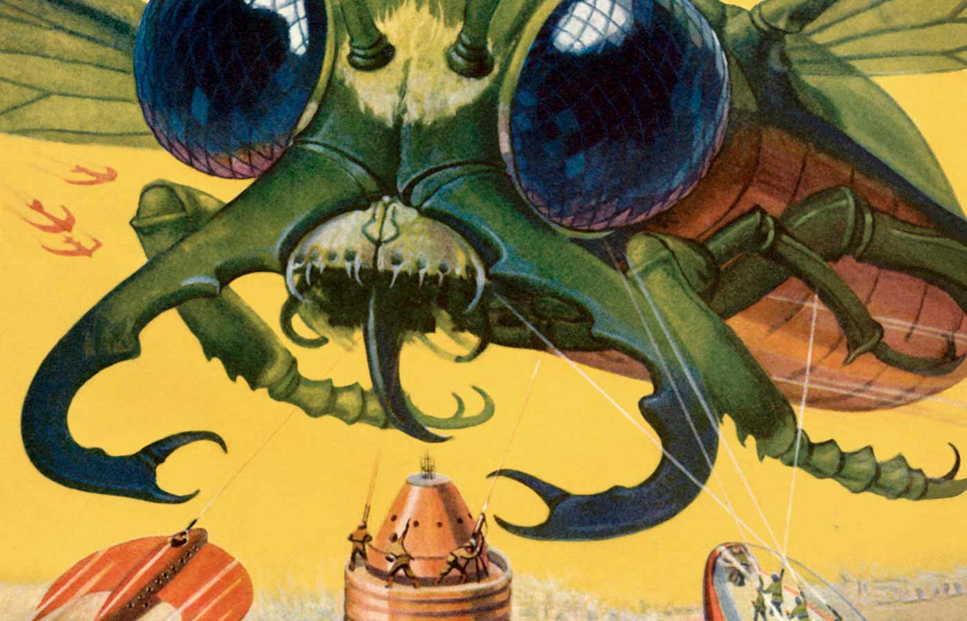 מכות עכשיו – ארבה