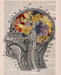 Dr. Heidegger’s Experiment