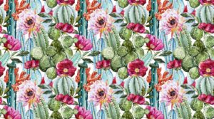 stry70 winter garden bg 2