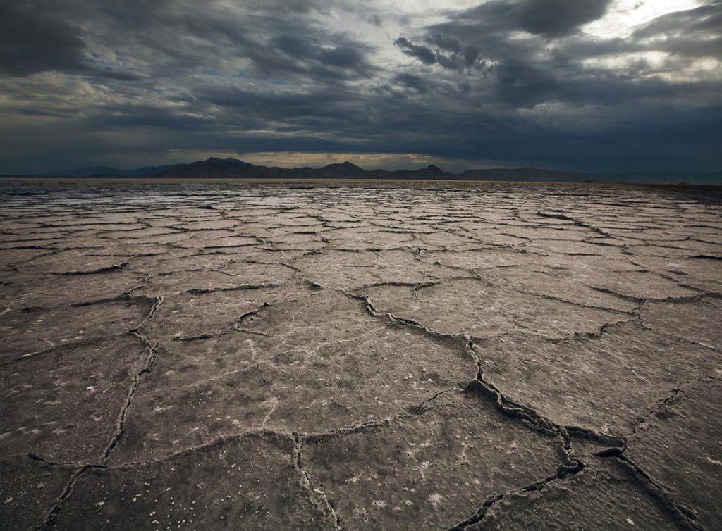 Nos Han Dado La Tierra | The Short Story Project