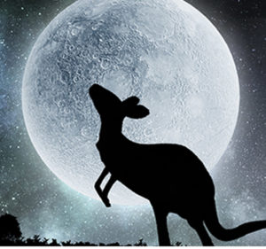 the death of a kangaroo bg