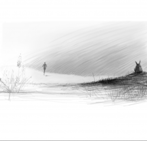 אוסף הריצות 1