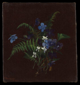 Violets